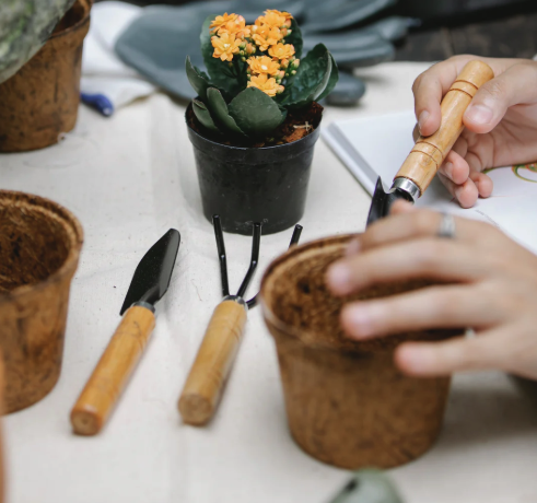 盆景用品及工具